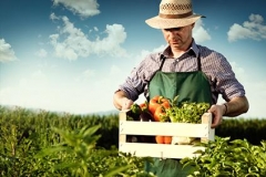 Adwokat Świnoujście - Trwają prace nad ustawą chroniącą przychody rolników