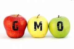 Adwokat Goleniów - Produkty wolne od GMO będą specjalnie oznaczone